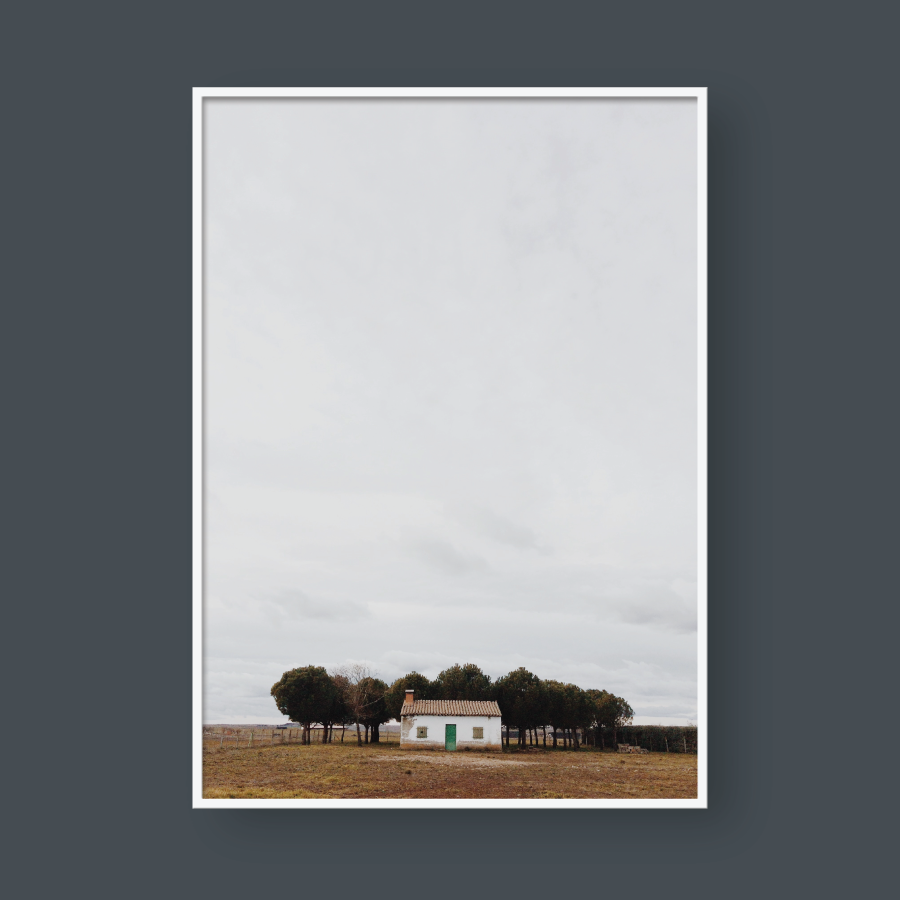 THE LONELY HOUSE