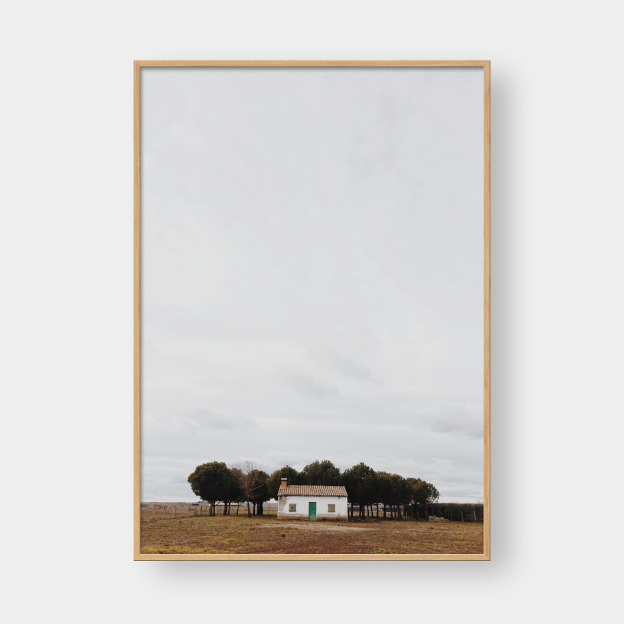 THE LONELY HOUSE