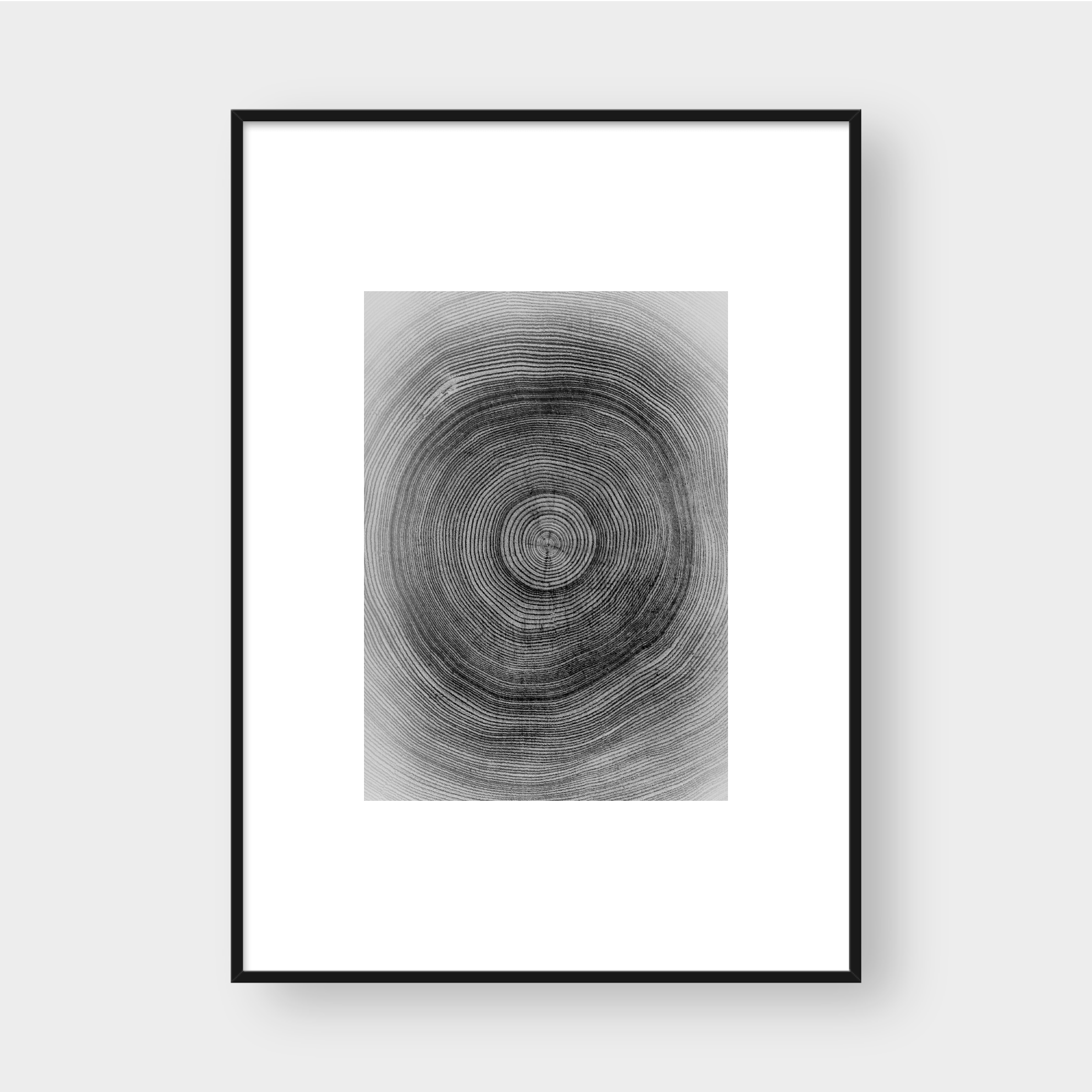 TREE RINGS SET 01