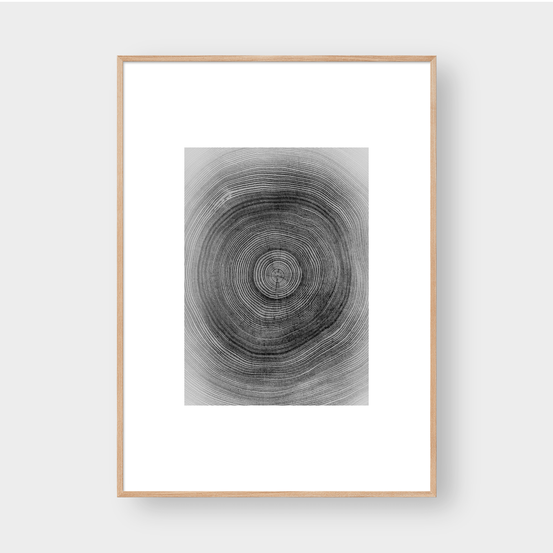 TREE RINGS 02
