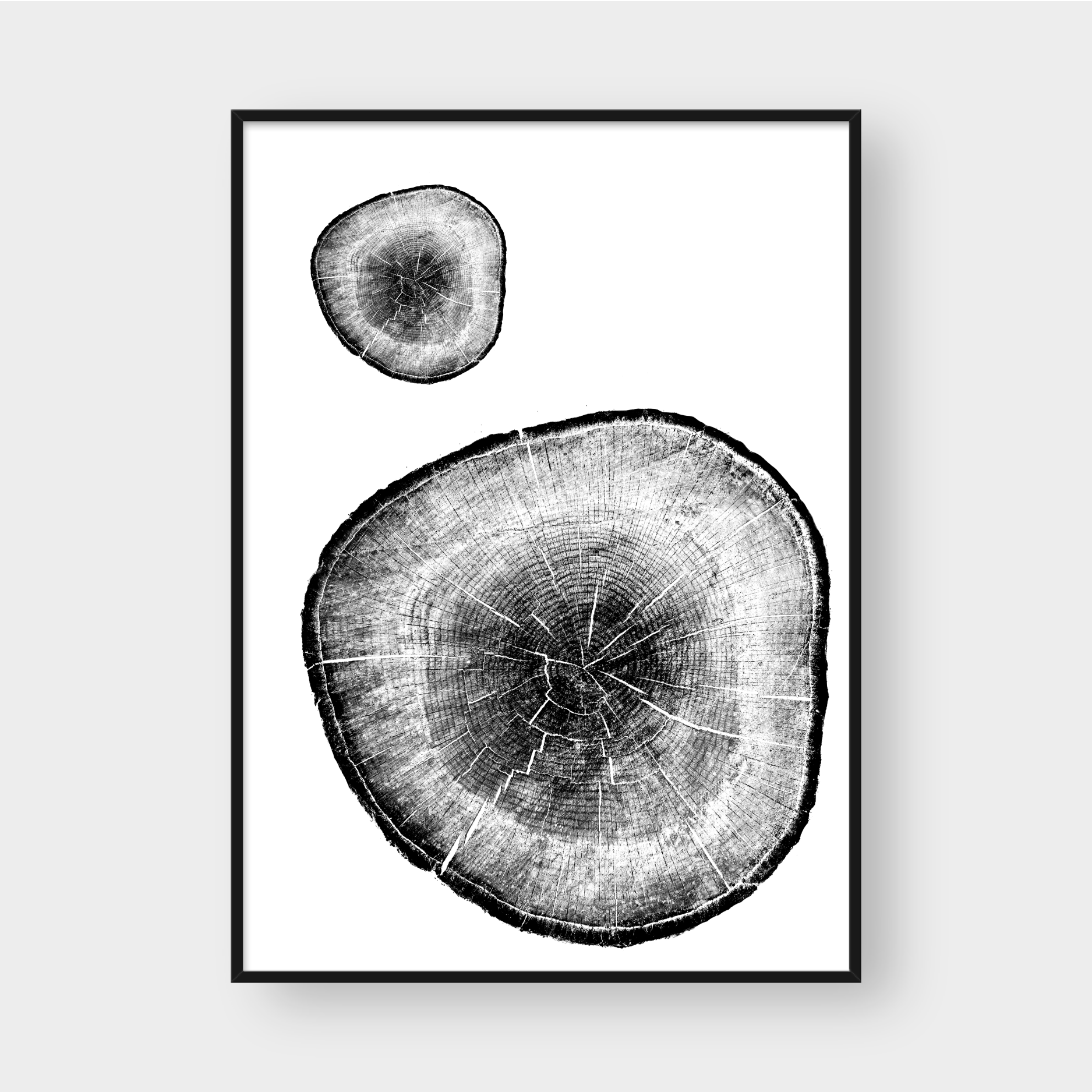 TREE RINGS 05