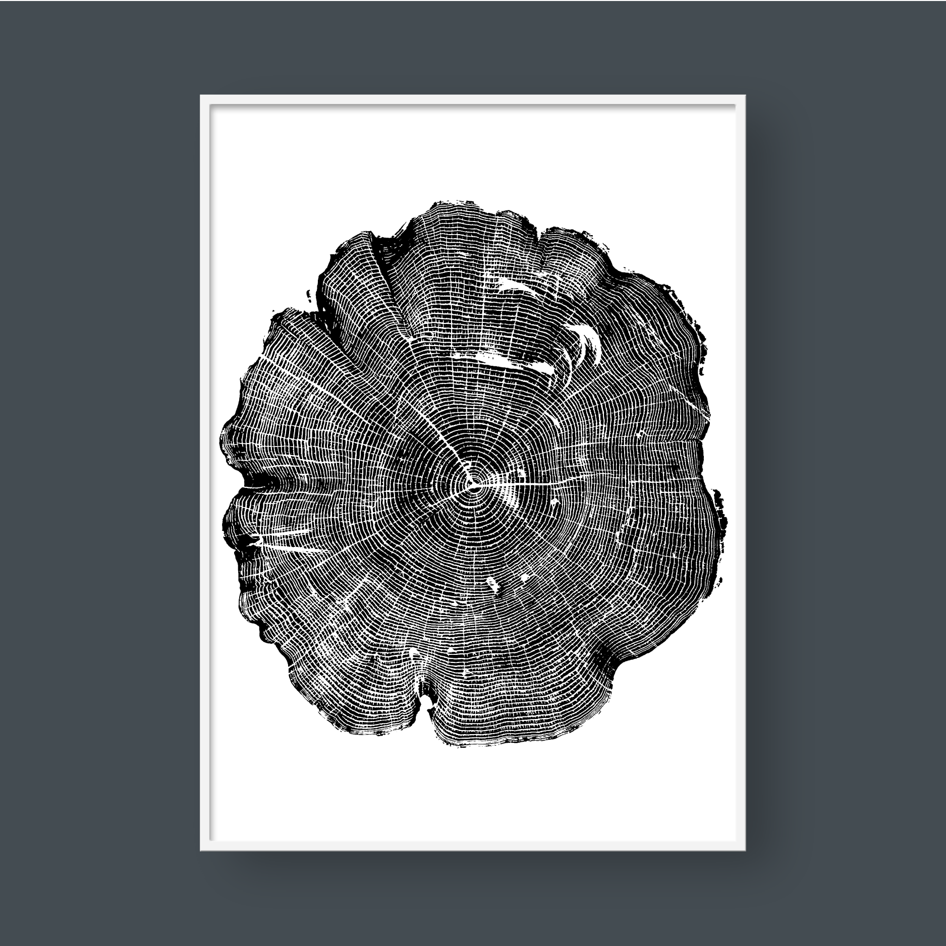 TREE RINGS 07