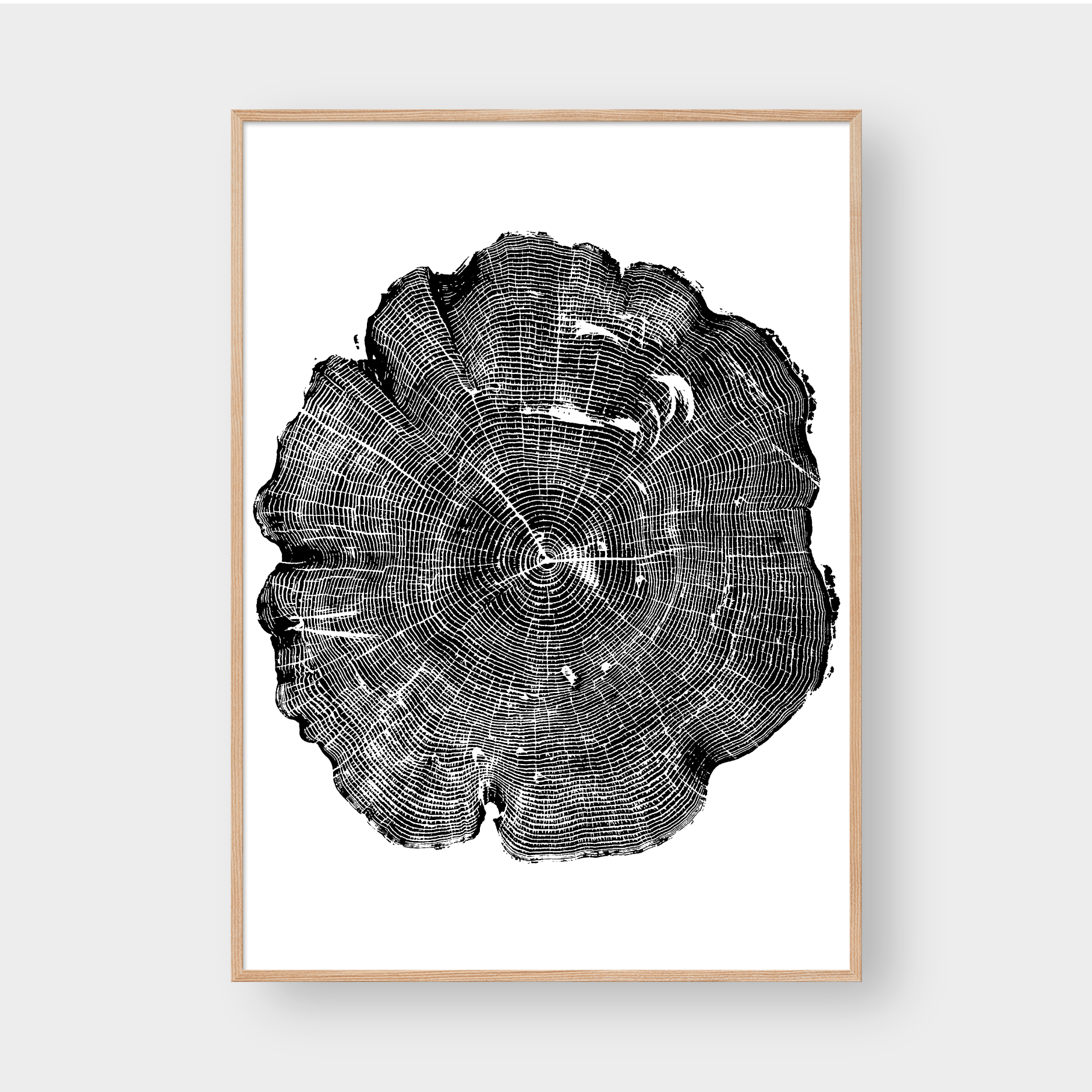 TREE RINGS 07
