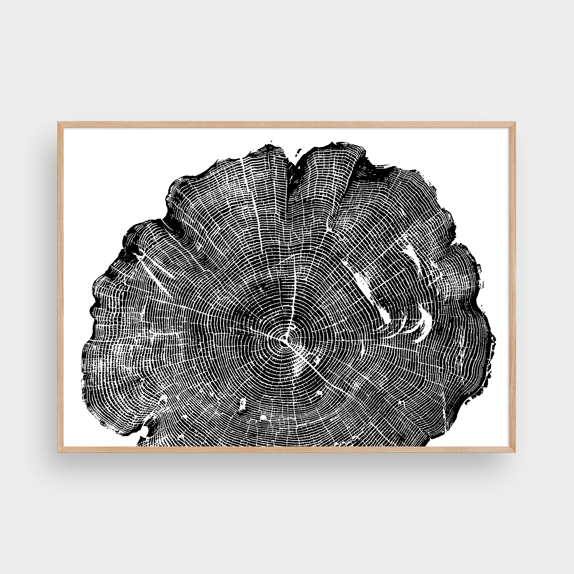 TREE RINGS 08