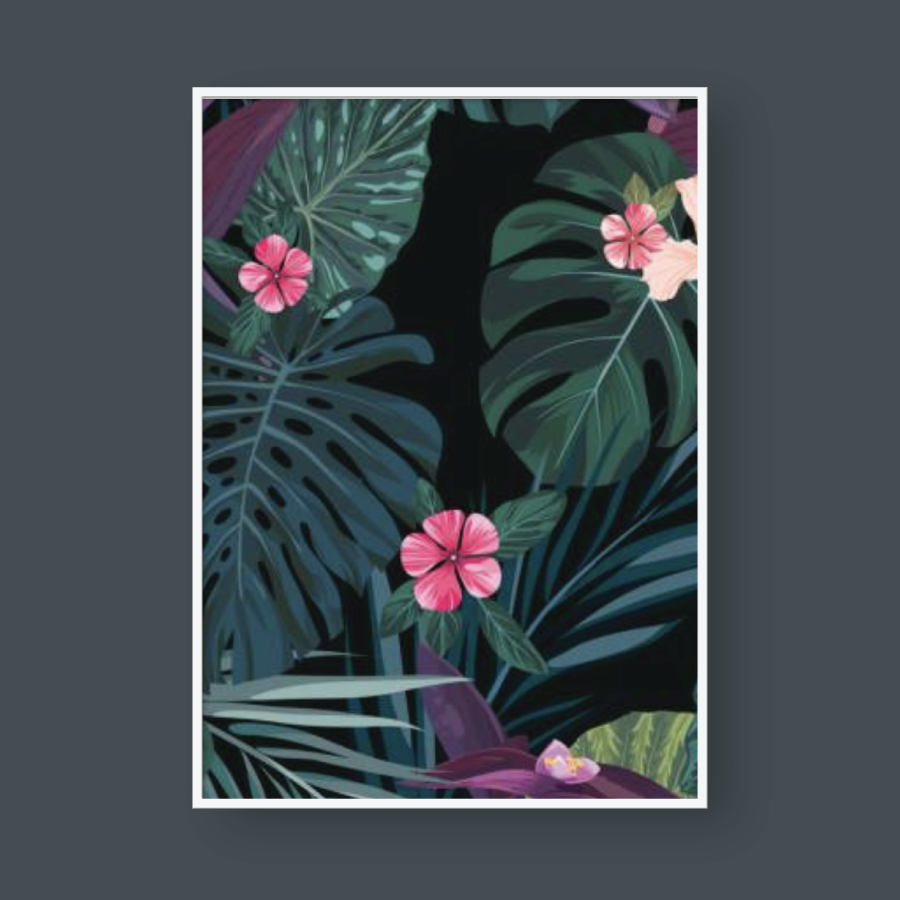 TROPICAL SET 01