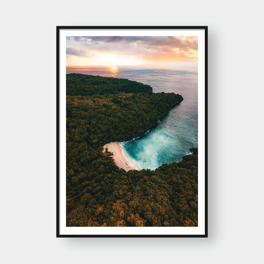 TROPICAL PARADISE