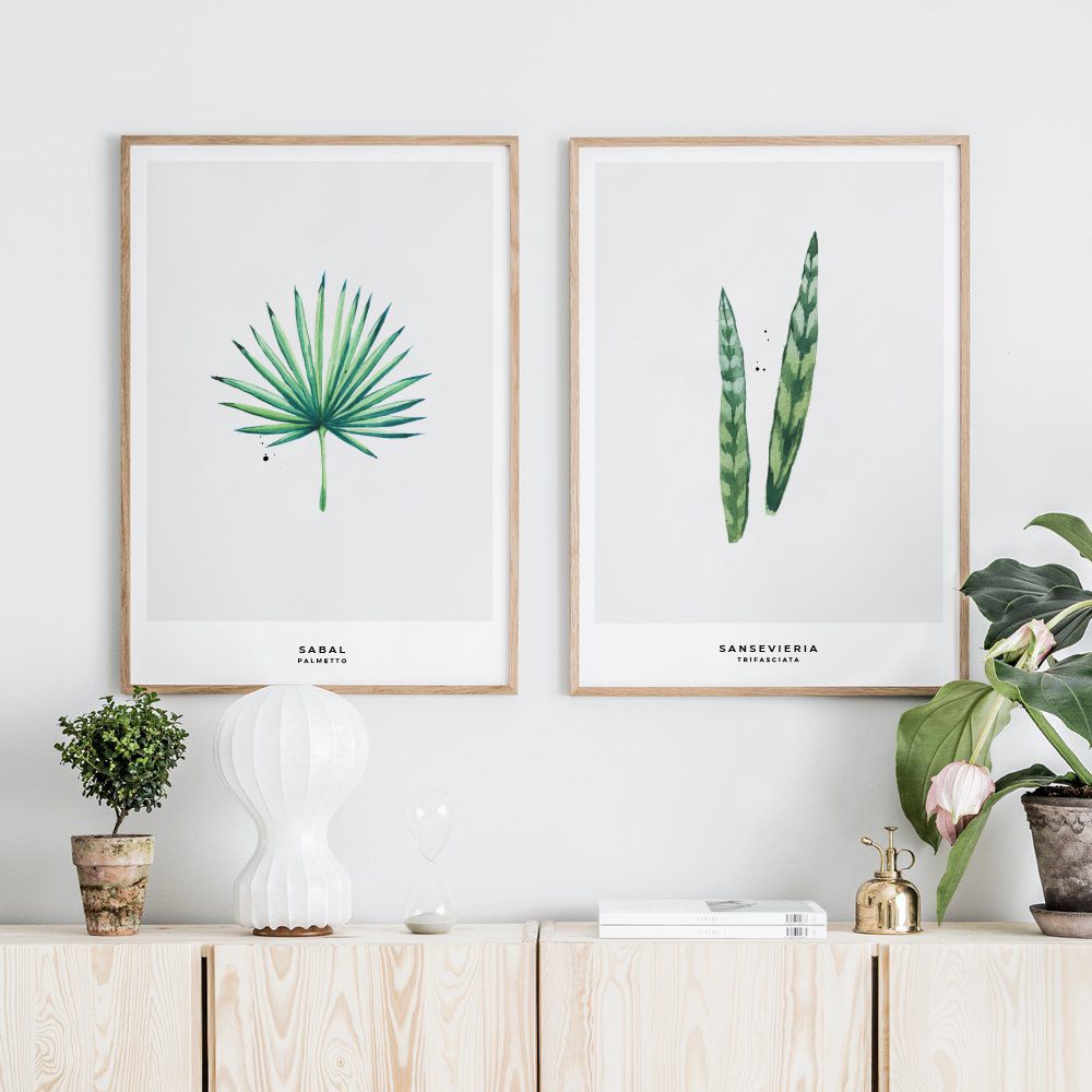 TROPICAL SET 03