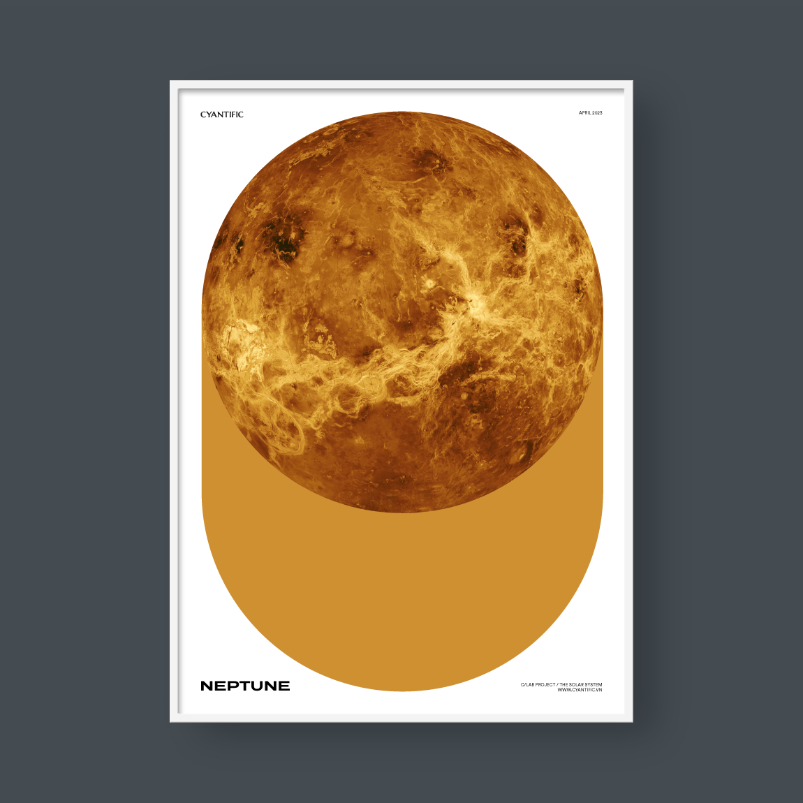 VENUS