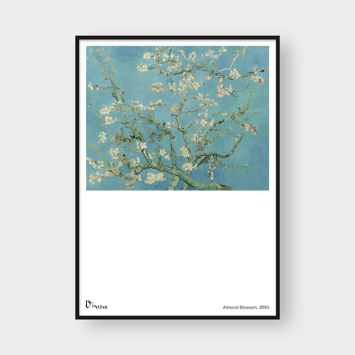 VINCENT ALMOND BLOSSOM