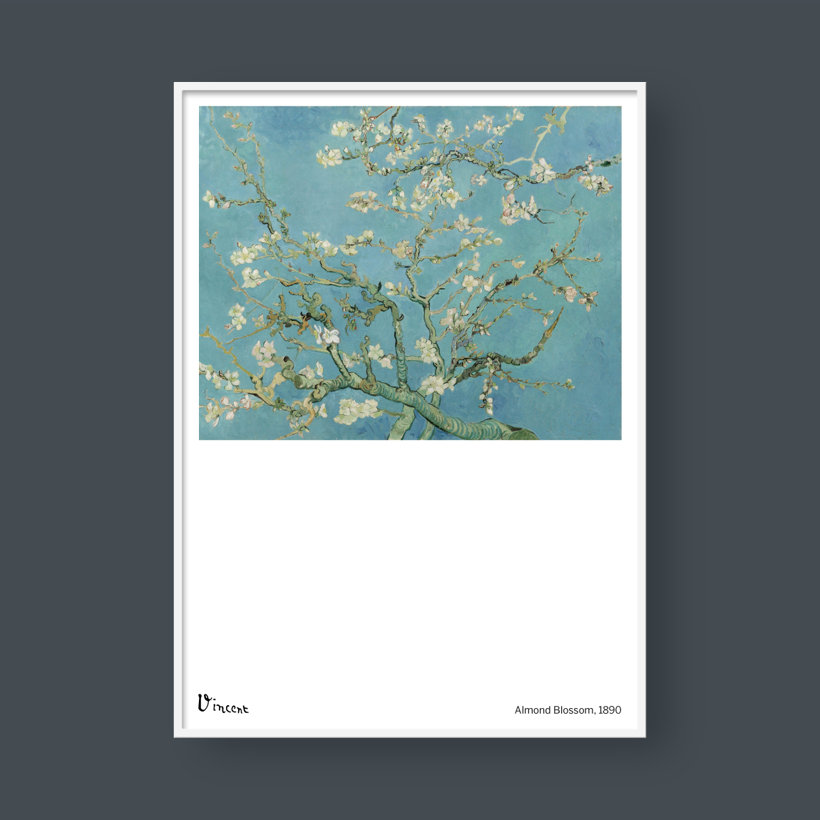 VINCENT ALMOND BLOSSOM