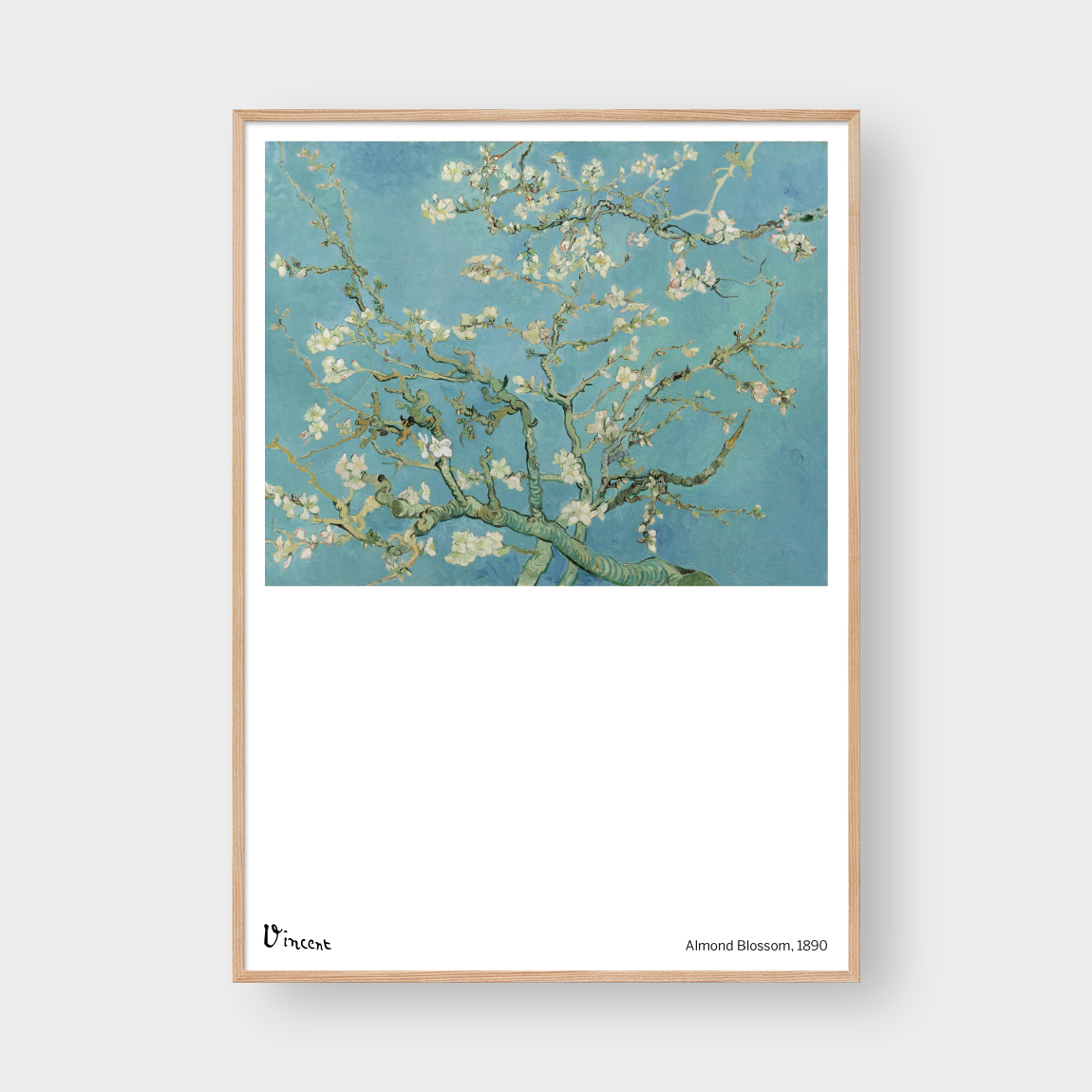 VINCENT ALMOND BLOSSOM