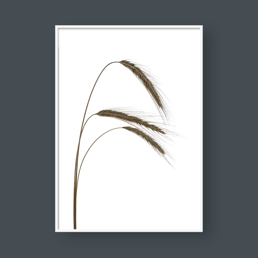 WHEAT BUNDLE NO.1