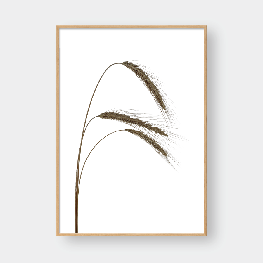 WHEAT BUNDLE NO.1