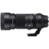 Sigma 100-400mm F5-6.3 DG Dn for E-Mount