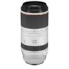 Canon RF 100-500mm F4.5-7.1 L IS USM