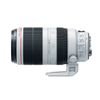 Canon EF 100-400mm F4.5-5.6L IS II USM ( Nhập Khẩu )