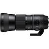 Sigma 150-600mm F5-6.3 DG OS HSM for Canon