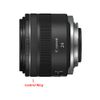 Canon RF 24mm F1.8 Macro IS STM Lens