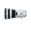 Canon EF 400mm f/4 DO IS II USM ( LBM )