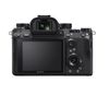 Sony Alpha A9 Body