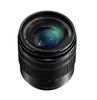 Panasonic 12-60mm F3.5-5.6 OIS