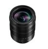 Panasonic Leica 12-60mm F2.8-4 OIS