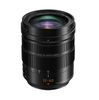 Panasonic Leica 12-60mm F2.8-4 OIS