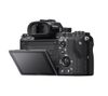 Sony Alpha A7R Mark II Body