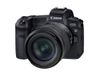 Canon EOS R ( LBM ) + RF 24-105 STM (NK)