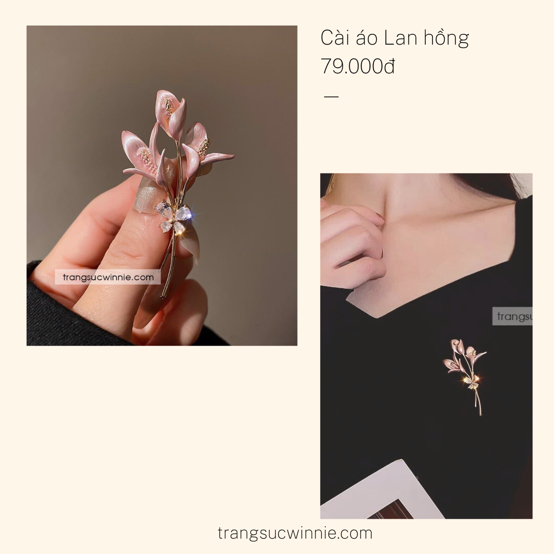 Cài áo Lan hồng