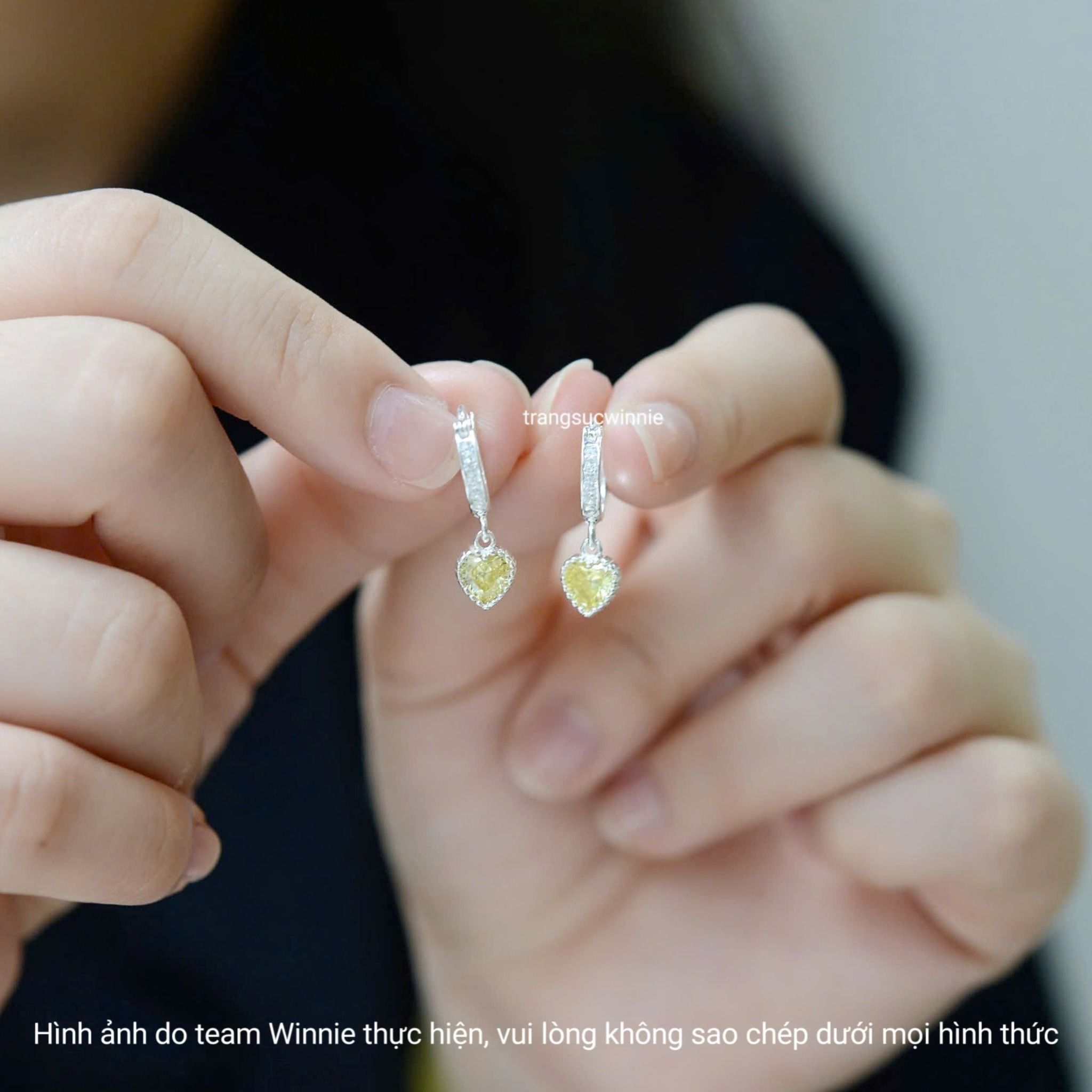 Hoa tai Bạc S925 Khoen Color heart
