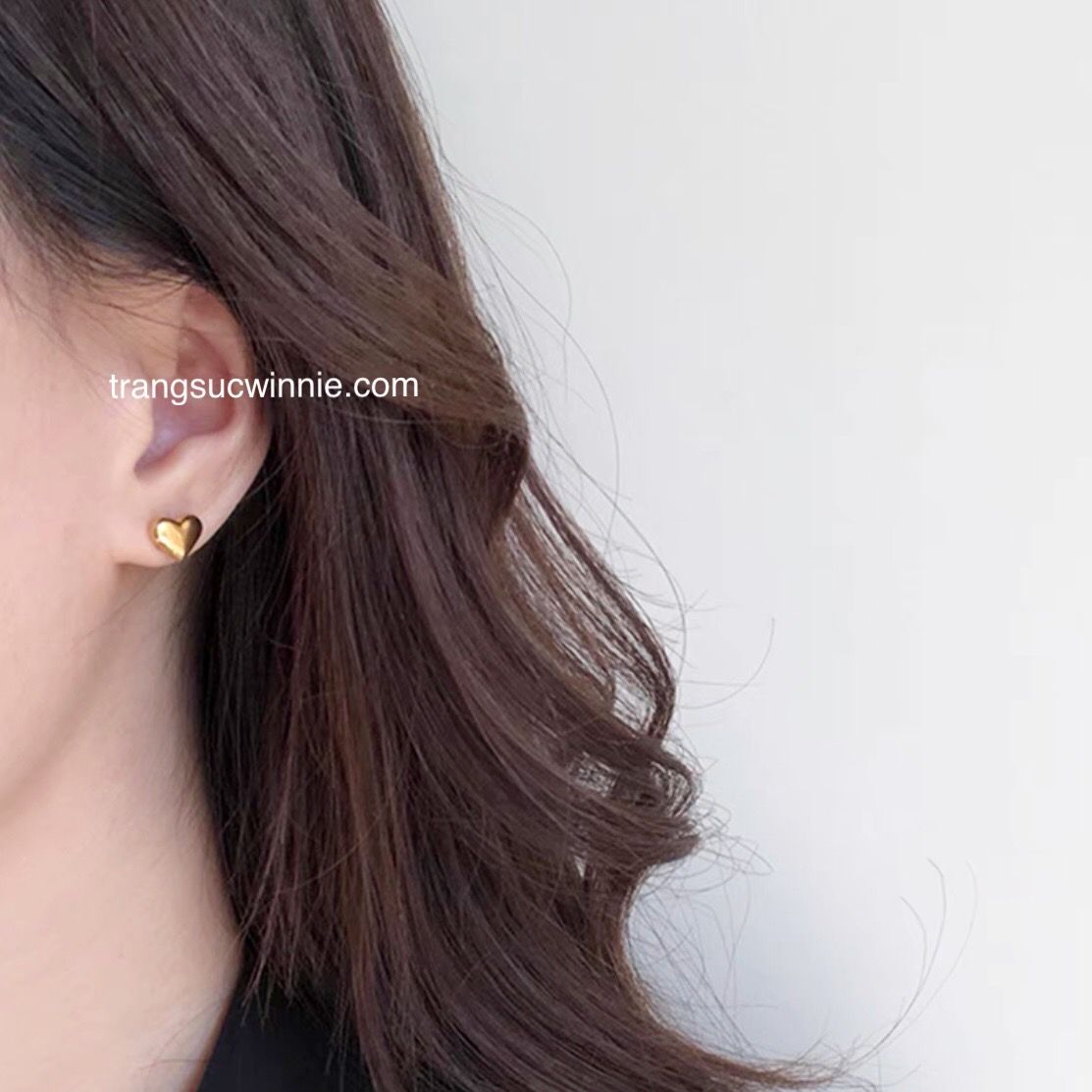 Hoa tai titan Tiffany