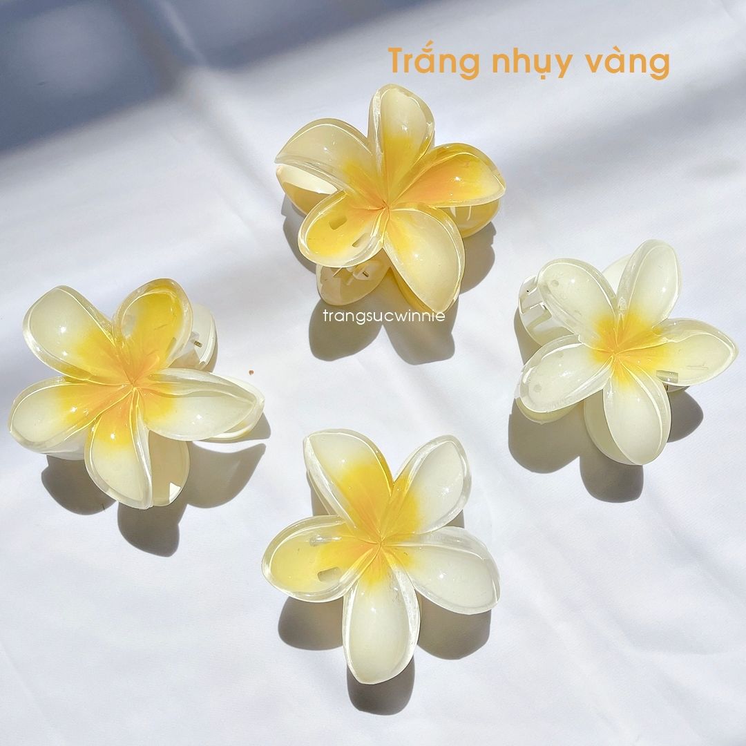 Kẹp tóc Hoa sứ