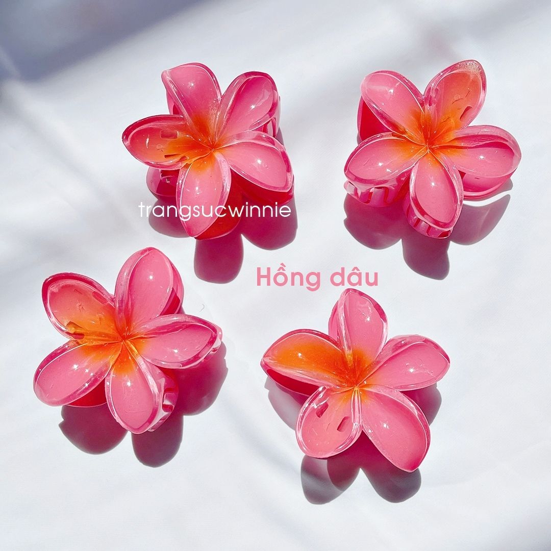 Kẹp tóc Hoa sứ