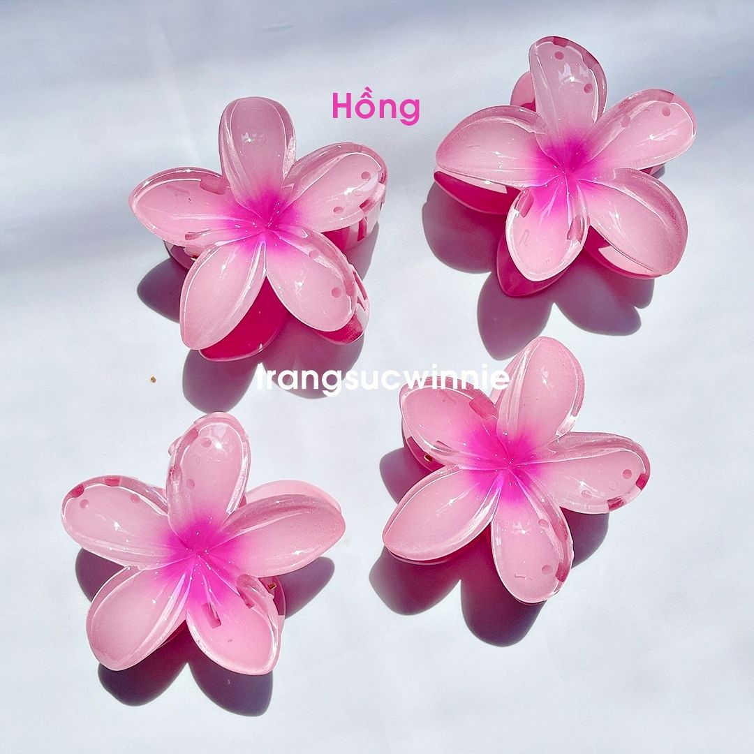 Kẹp tóc Hoa sứ