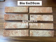 Gạch cổ Bìa ốp tường 5x20-21 hai mặt phẳng