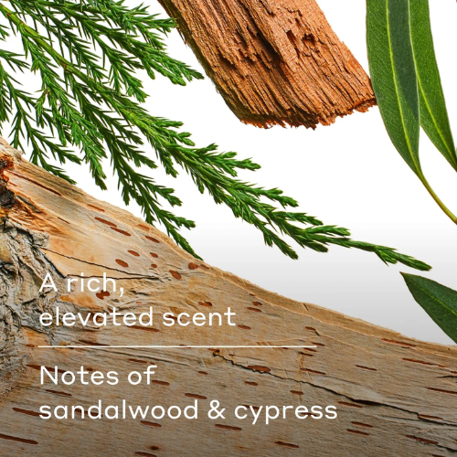 Sữa Tắm Harry's Wildlands ( A Captivating Scent Of Mountain Air ) 473ML