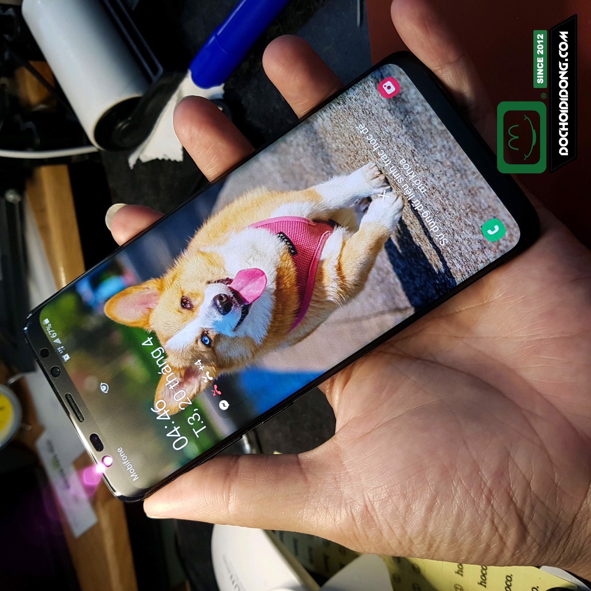 Miếng dán PPF Hydorgen Samsung S9+ trong, nhám, đổi màu cao cấp