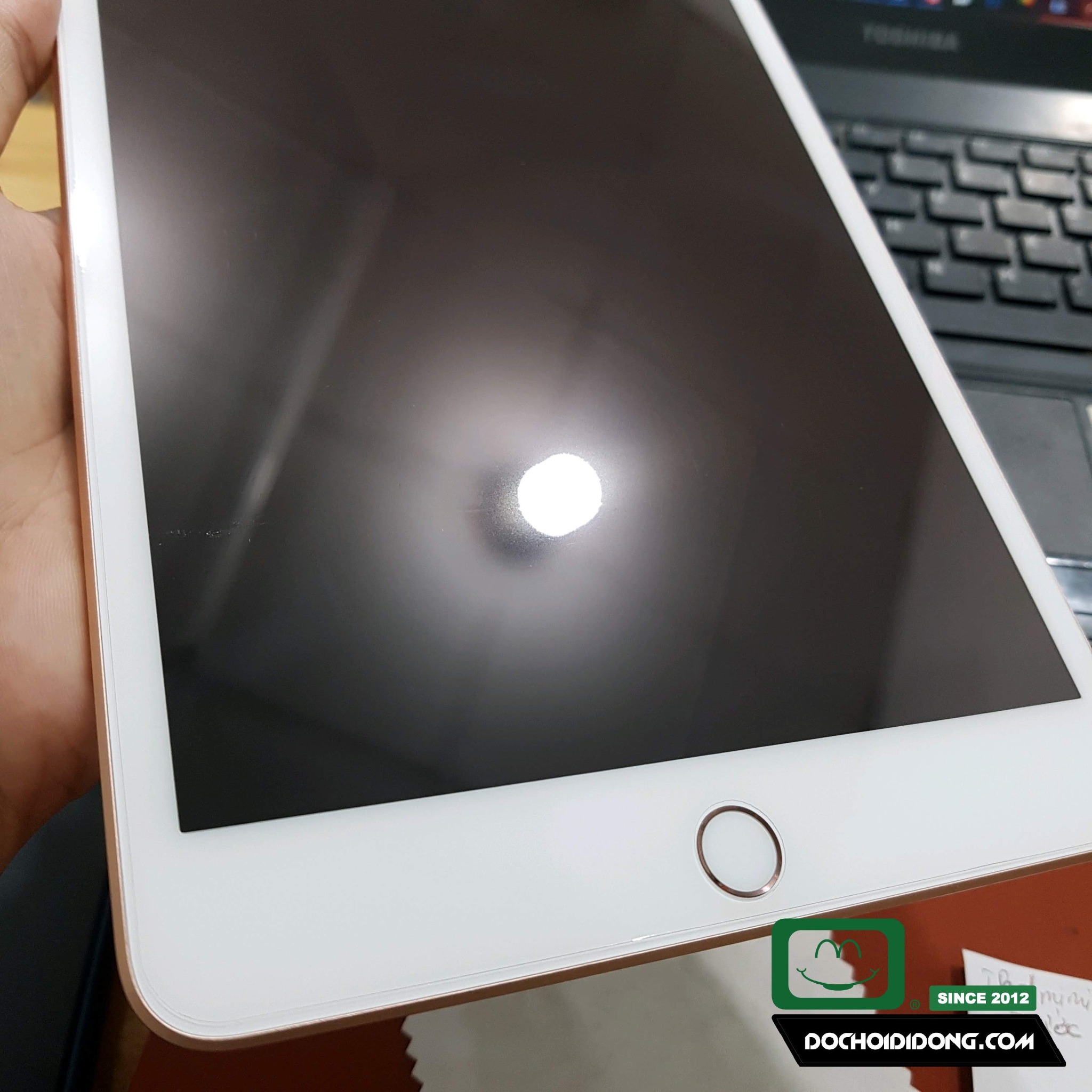 Miếng dán PPF Hydorgen iPad Mini 5 trong, nhám, đổi màu cao cấp