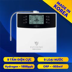  Máy Lọc Nước Điện Giải EVERKING EK-99 