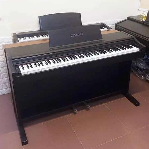 Casio AP31