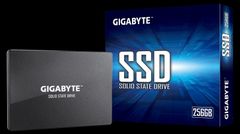 Ổ cứng SSD 256GB Gigabyte GSTF31