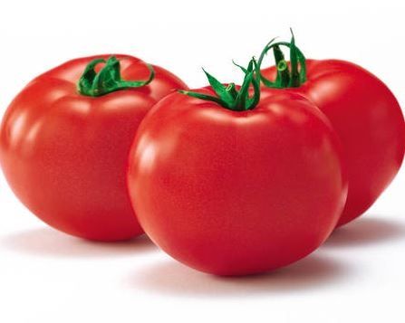 토마토 1kg