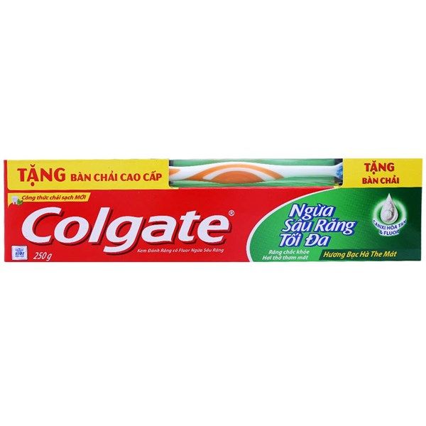 Colgate 충치 예방 치약  250g