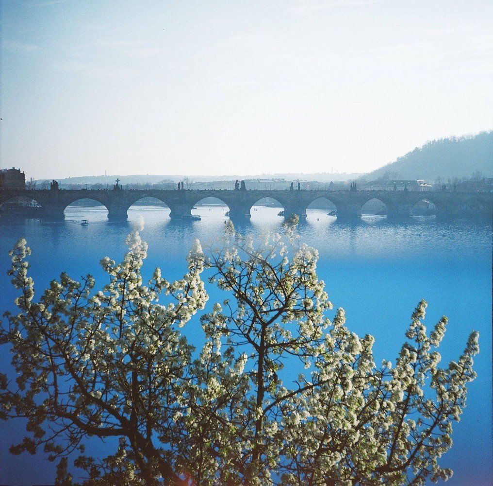 120 Lomography Color 400