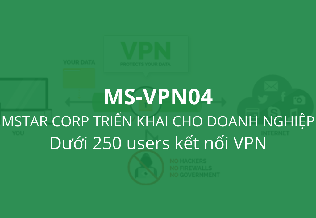 Dịch vụ VPN MS-VPN04