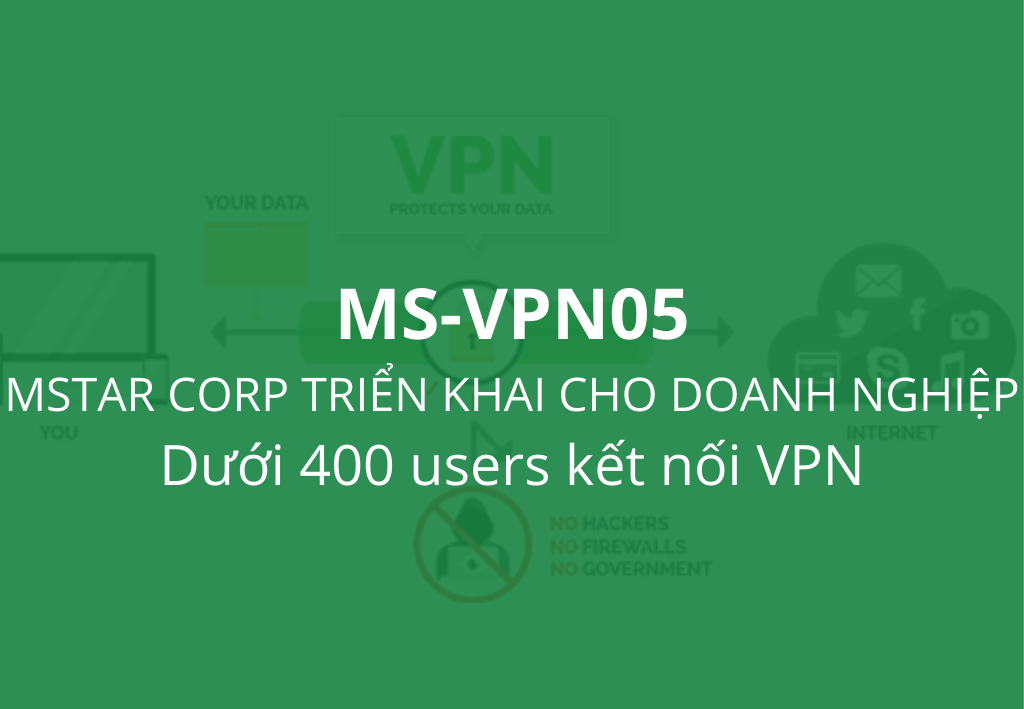 Dịch vụ VPN MS-VPN05