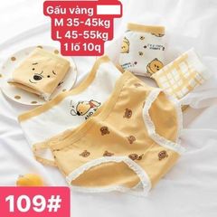 10 cái Quần lót gấu vàng