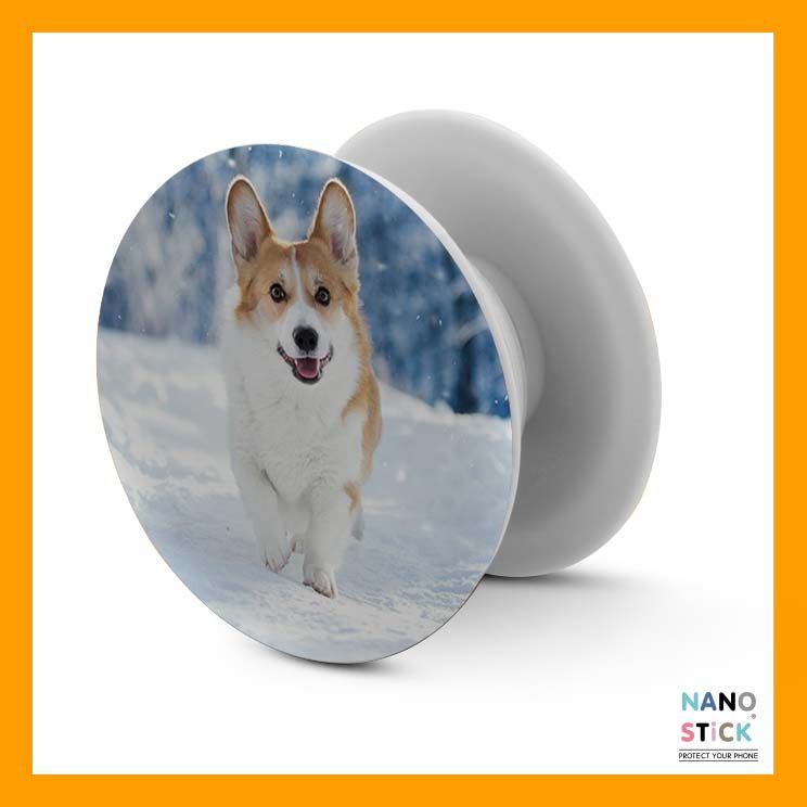 1904010102046 - Popsocket
