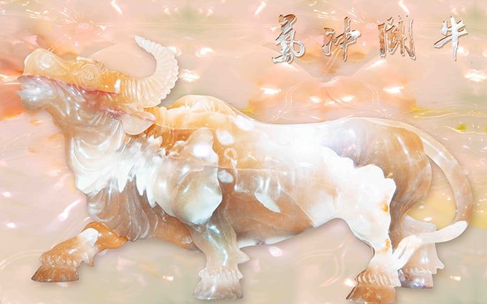 GN007